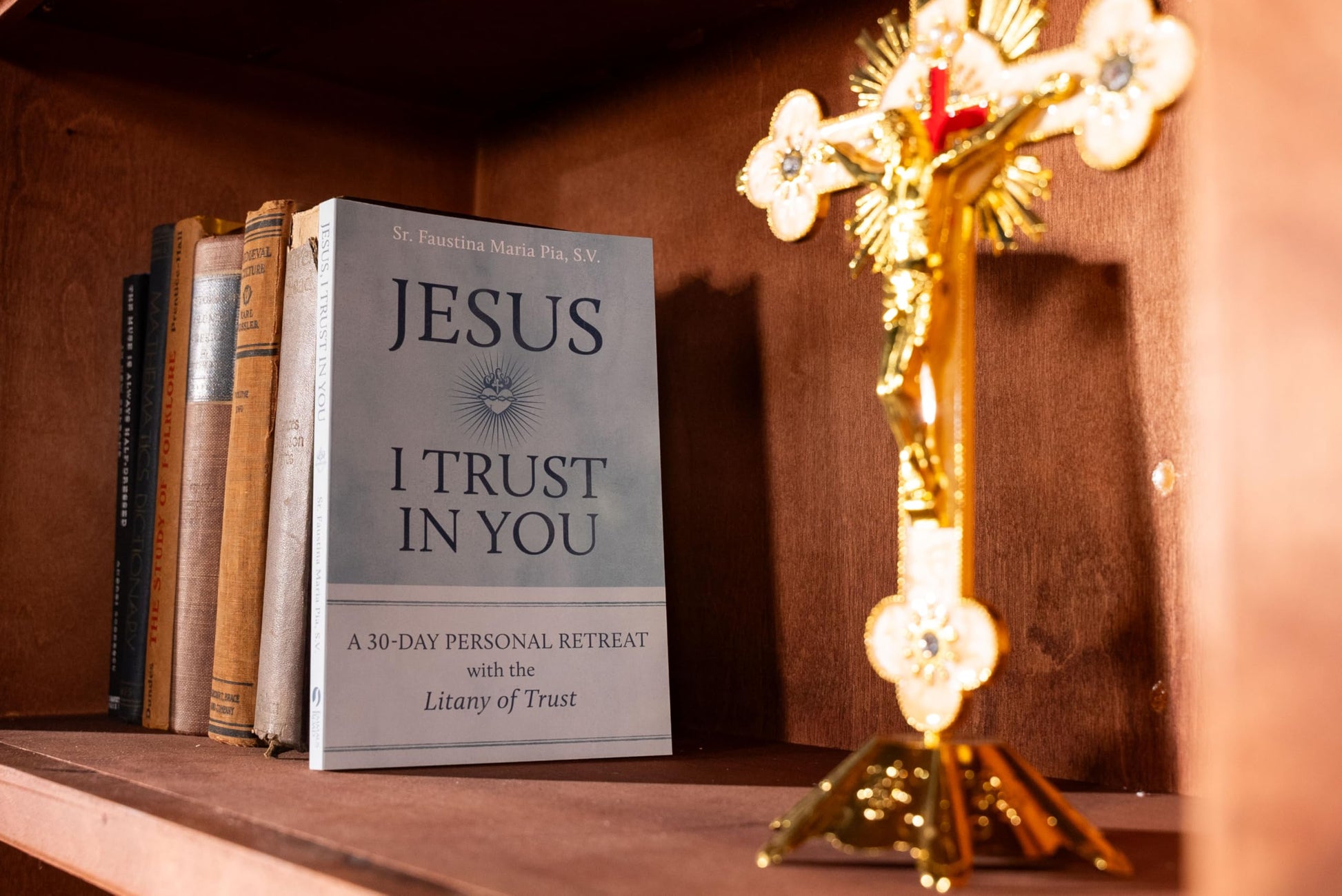 Jesus I Trust in You: A 30-Day Personal Retreat with the Litany of Trust