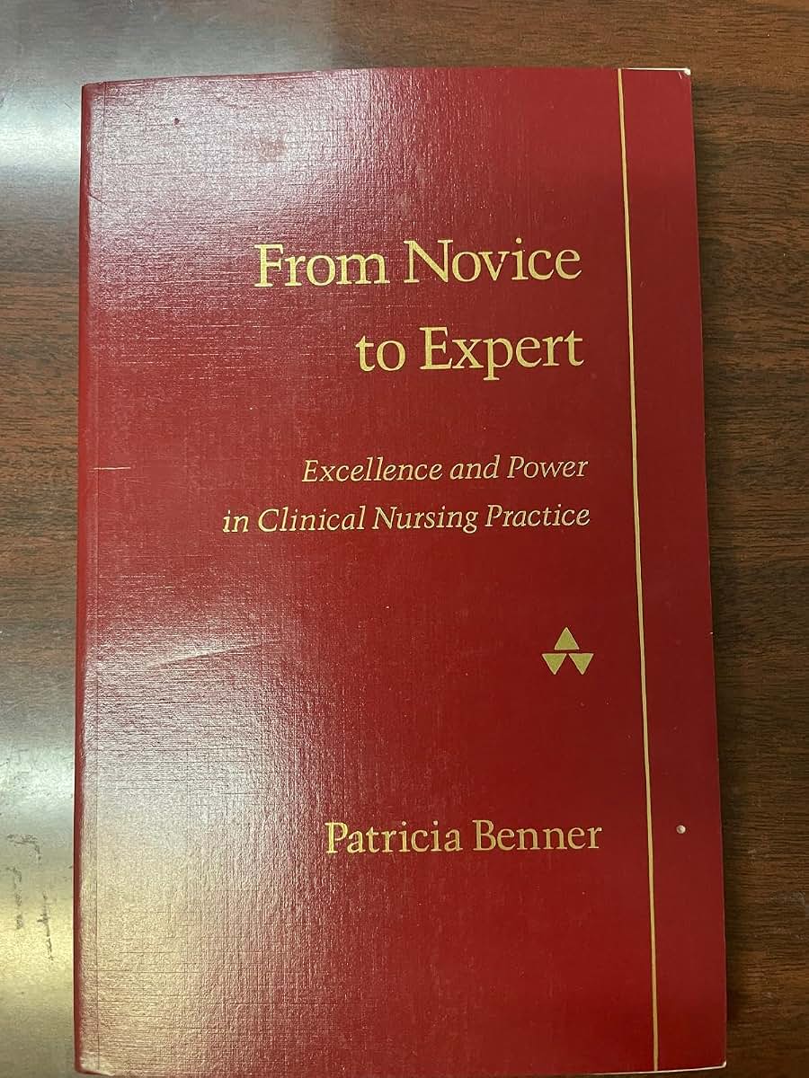 From Novice to Expert: Excellence and Power in Clinical Nursing Practice