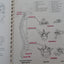 Illustrated Essentials of Musculoskeletal Anatomy by Kay W S