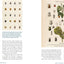 Innumerable Insects: The Story of the Most Diverse and Myriad Animals on Earth (Natural Histories)