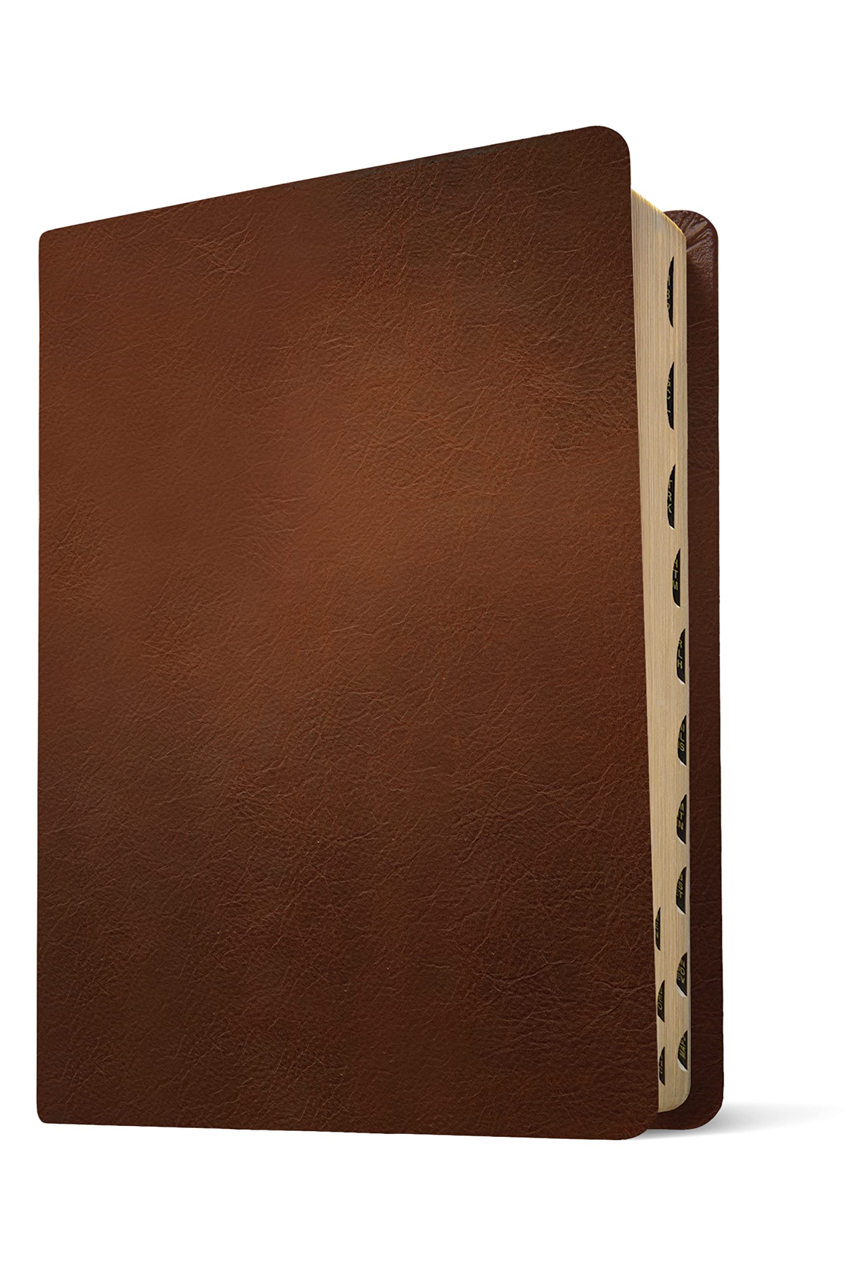 NLT Wide Margin Bible, Filament Enabled (Genuine Leather, Brown, Indexed, Red Letter)