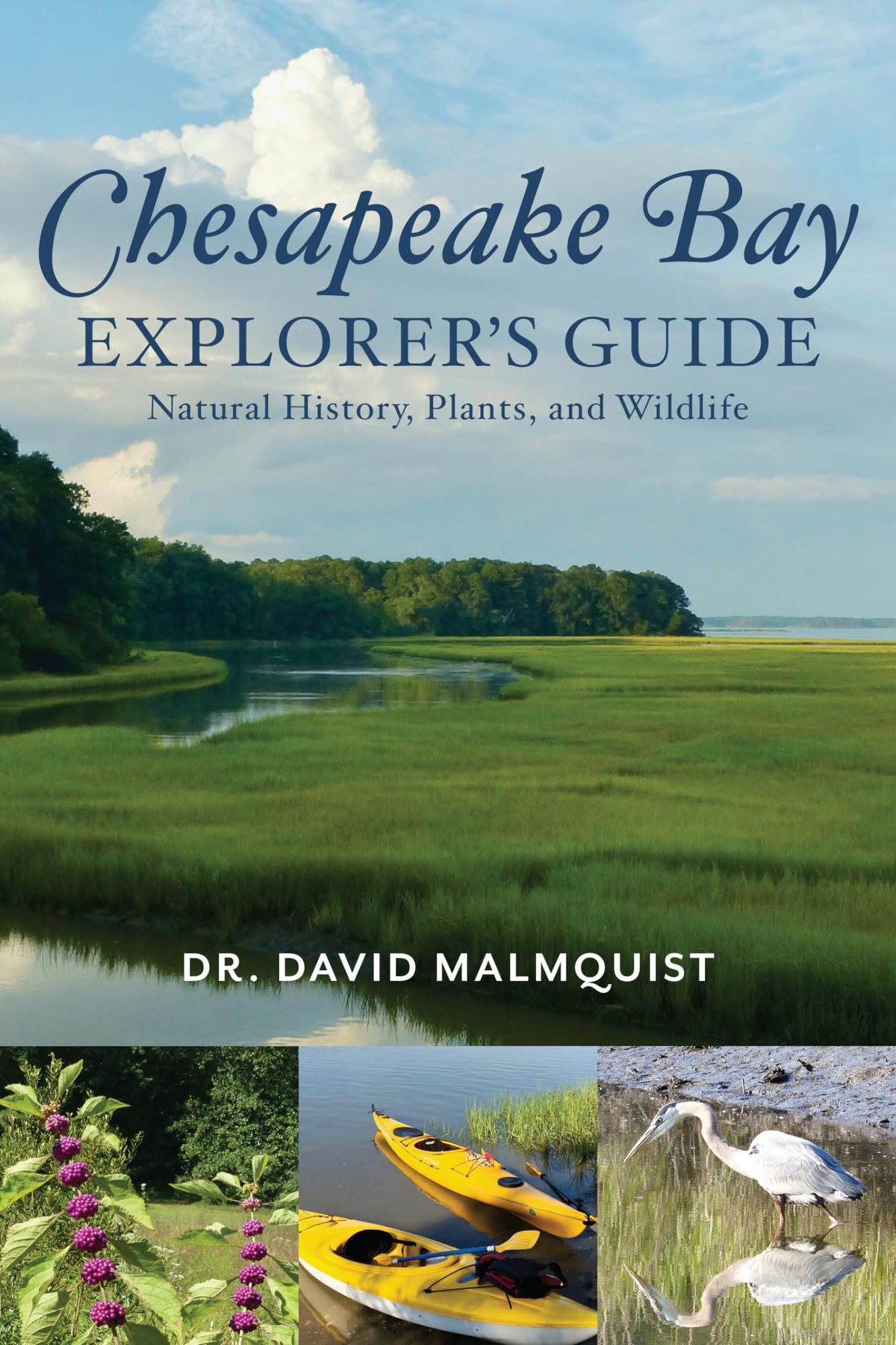 Chesapeake Bay Explorer's Guide