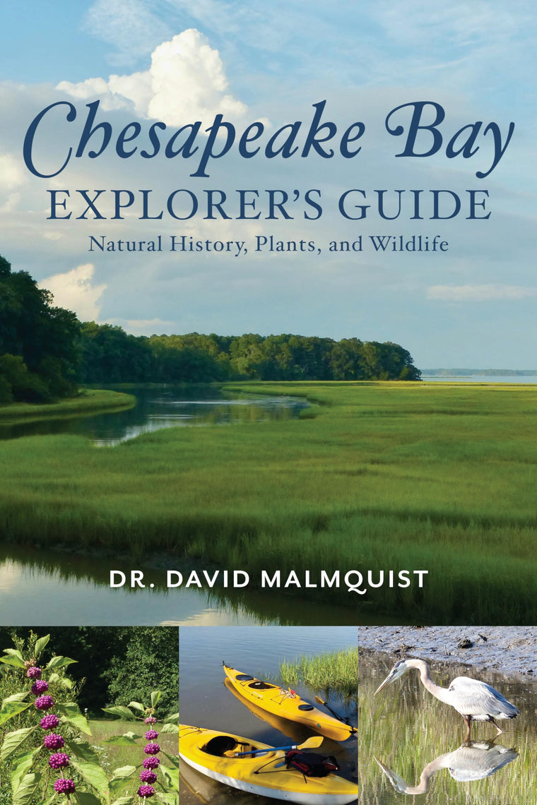 Chesapeake Bay Explorer's Guide