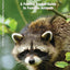 Georgia Wildlife: A Folding Pocket Guide to Familiar Animals (Wildlife and Nature Identification)