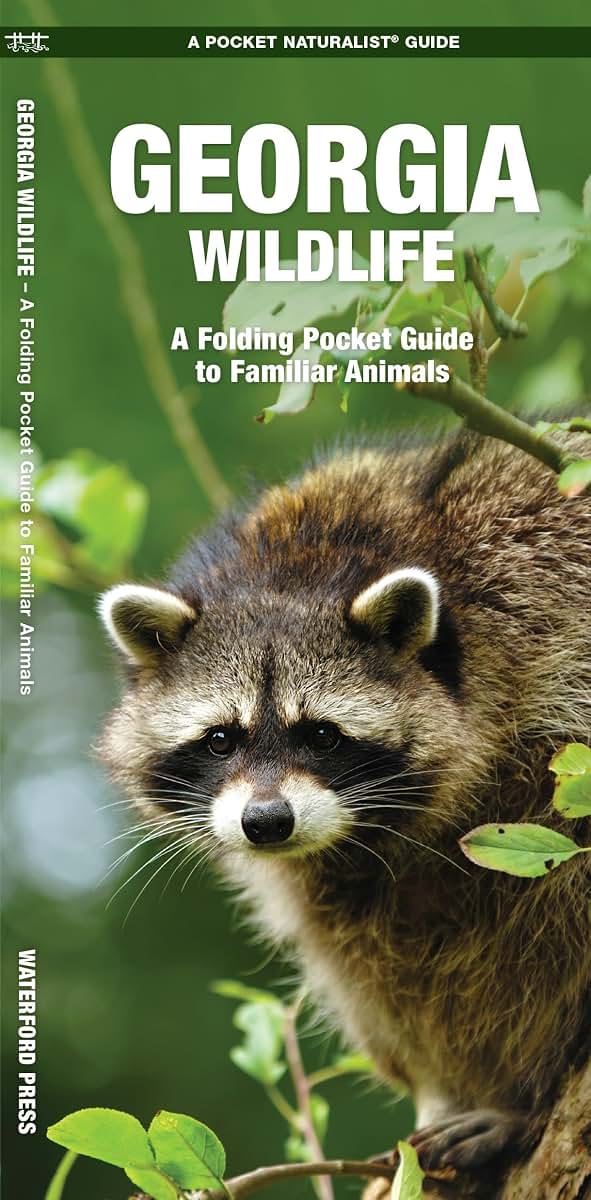 Georgia Wildlife: A Folding Pocket Guide to Familiar Animals (Wildlife and Nature Identification)