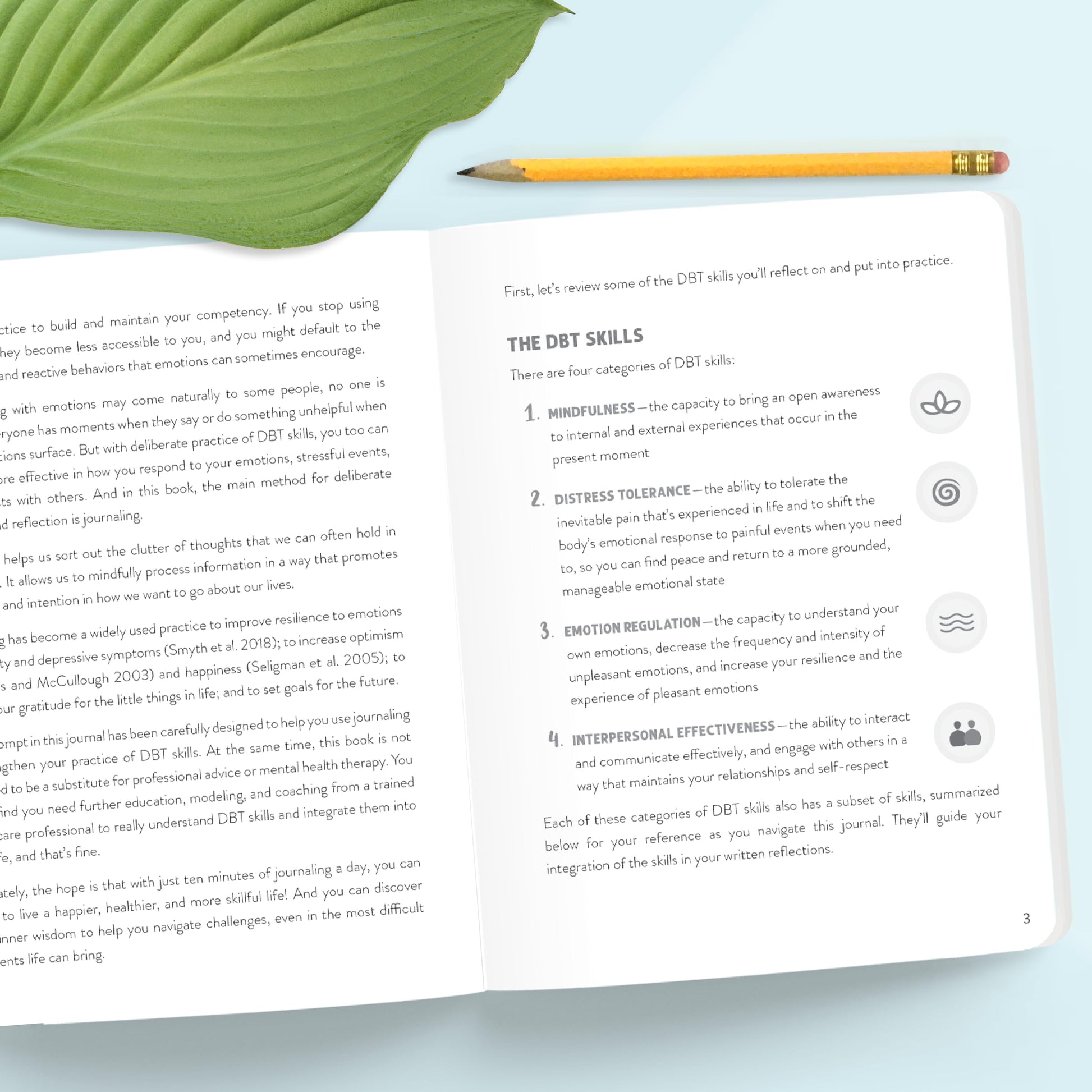 The DBT Skills Daily Journal: 10 Minutes a Day to Soothe Your Emotions with Dialectical Behavior Therapy (The New Harbinger Journals for Change Series)