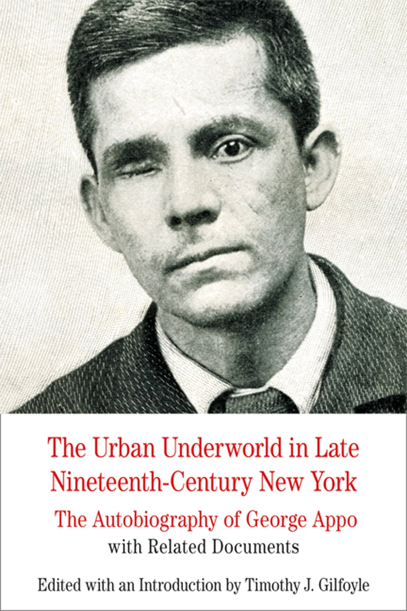 The Urban Underworld in Late Nineteenth-Century New York: Th