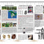 Sasquatch Field Guide by Meldrum, Jeff, Ph.D.