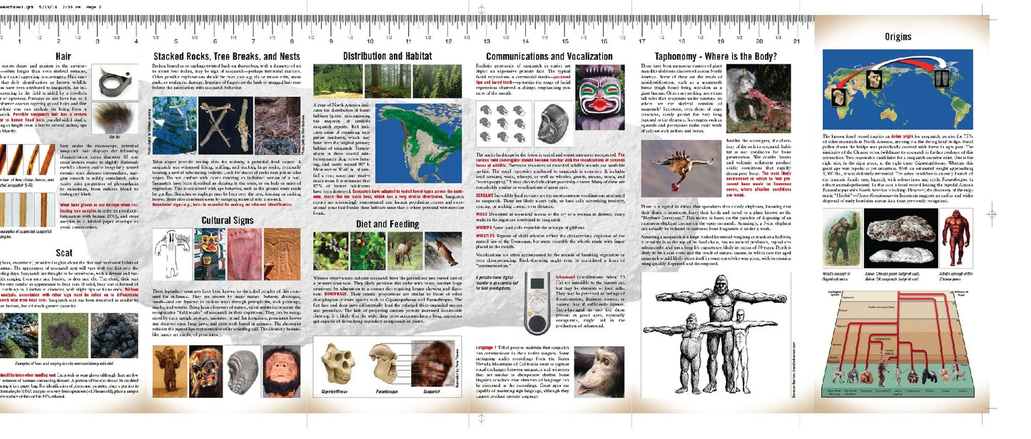 Sasquatch Field Guide by Meldrum, Jeff, Ph.D.