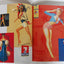 For the Boys : The Racy Pin-Ups of World War II
