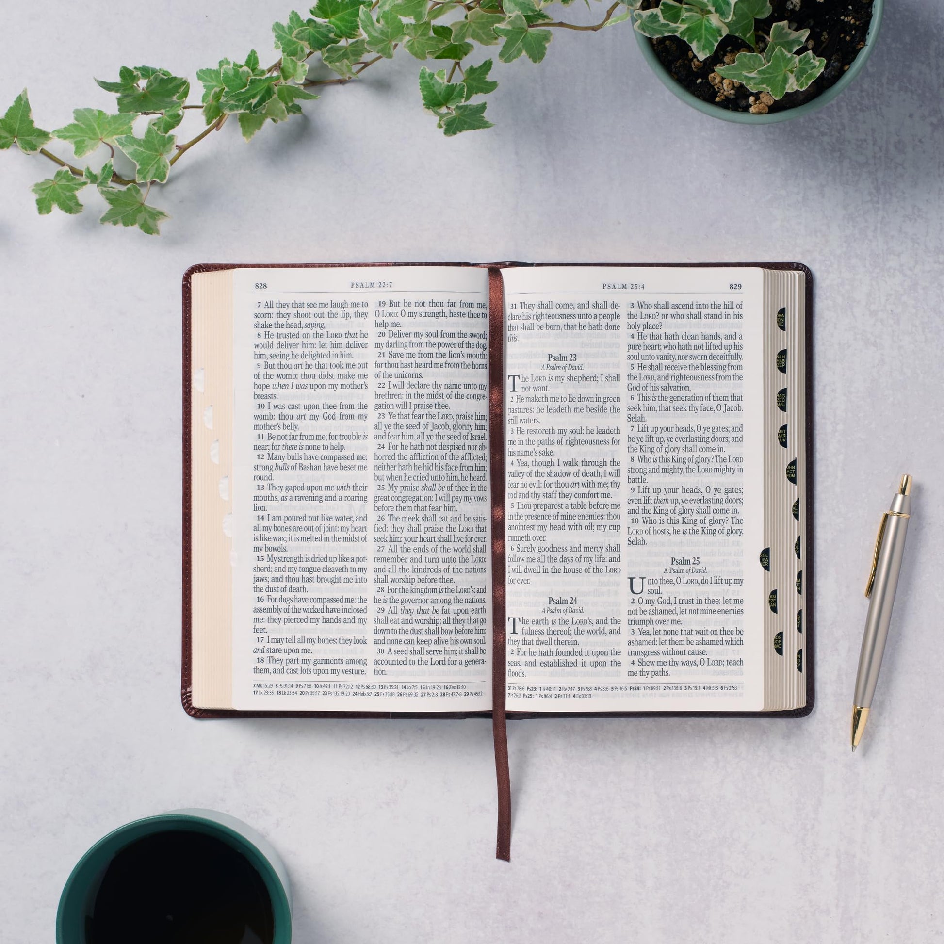 KJV Holy Bible, Giant Print Standard Size Faux Leather Red Letter Edition - Thumb Index & Ribbon Marker, King James Version, Brown Two-tone (KJV Standard GP Editions)
