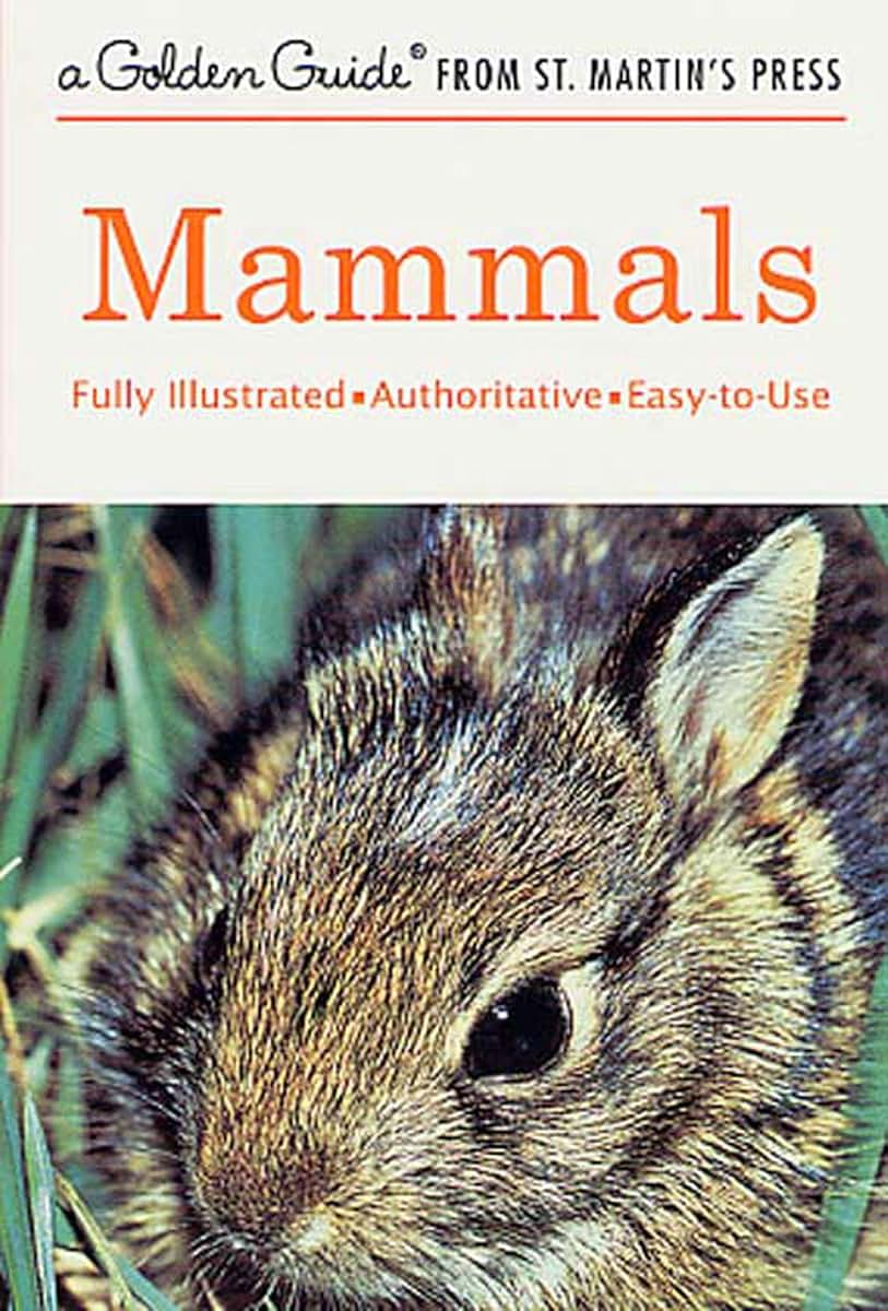 Mammals: A Fully Illustrated, Authoritative and Easy-to-Use Guide (A Golden Guide from St. Martin's Press)