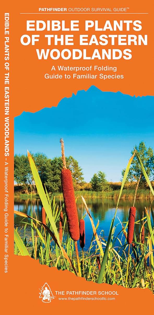 Edible Plants of the Eastern Woodlands: A Folding Pocket Guide to Familiar Species (Outdoor Recreation and Survival)
