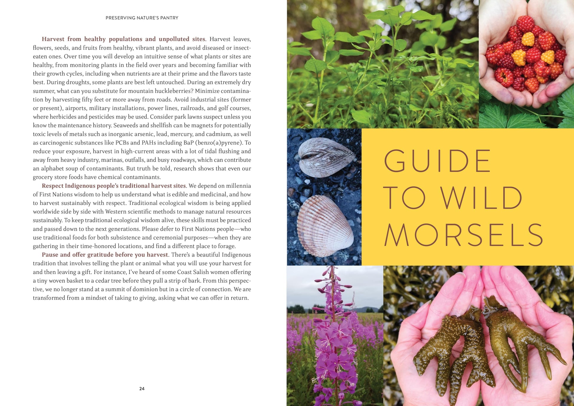 Pacific Harvest: A Northwest Coast Foraging Guide