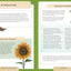 Nature School: In the Garden: Lessons and Activities to Cultivate Childrens Connection to the Natural World