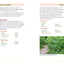 The Foodscape Revolution: Finding a Better Way to Make Space for Food and Beauty in Your Garden
