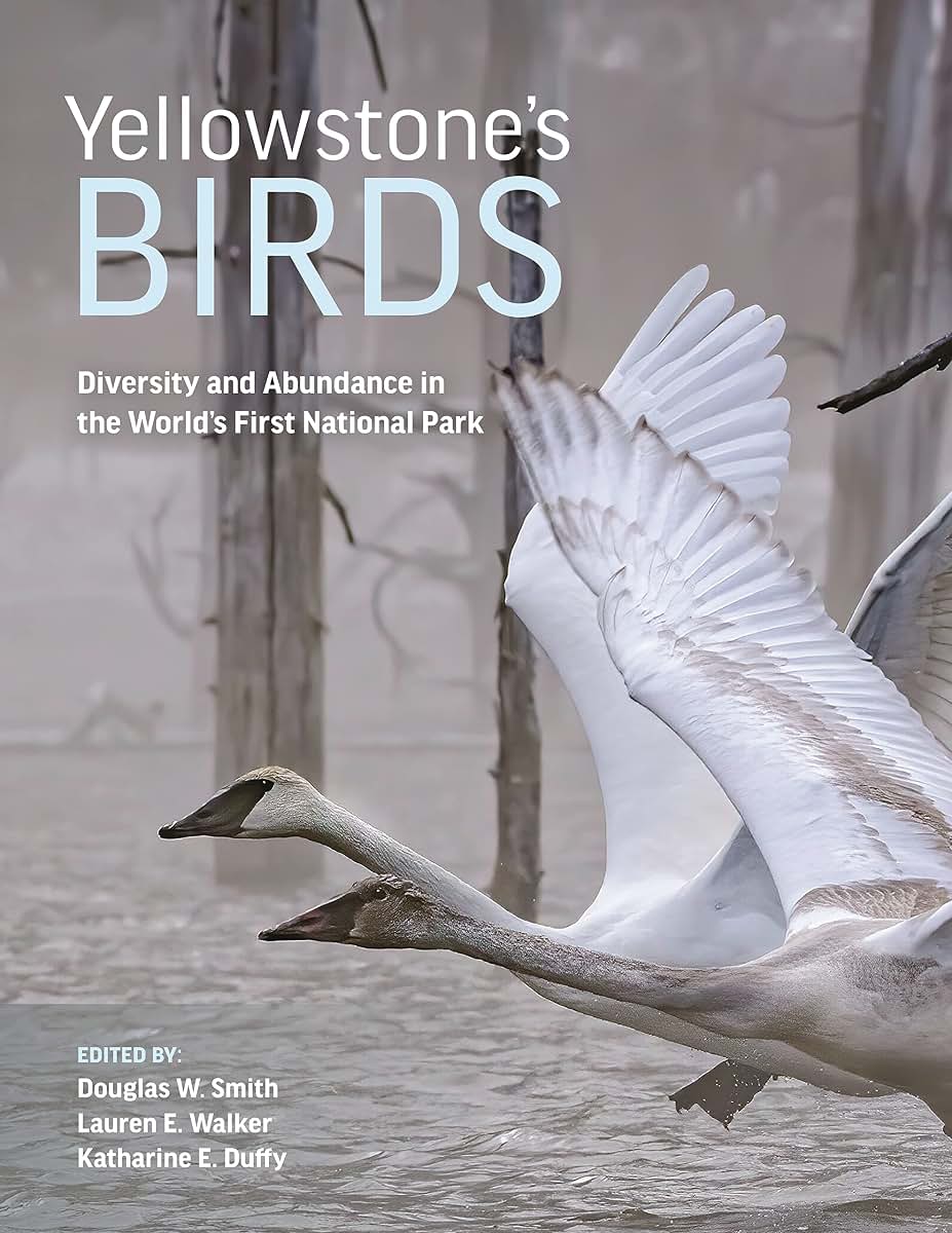 Yellowstones Birds: Diversity and Abundance in the Worlds First National Park