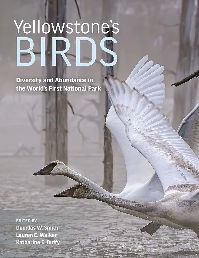 Yellowstones Birds: Diversity and Abundance in the Worlds First National Park