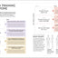 Science of Strength Training: Understand the anatomy and physiology to transform your body (The Science of Fitness)