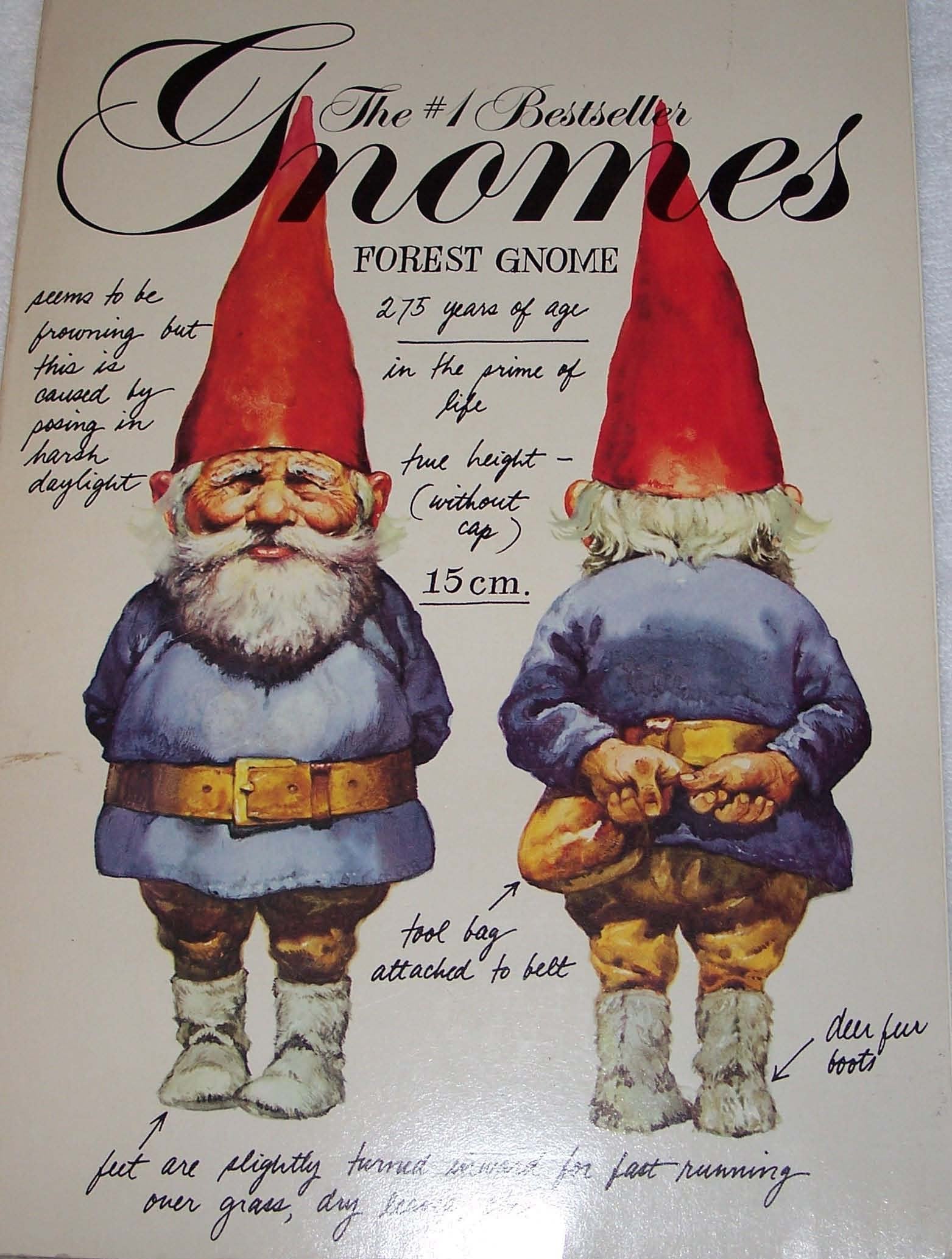 Gnomes