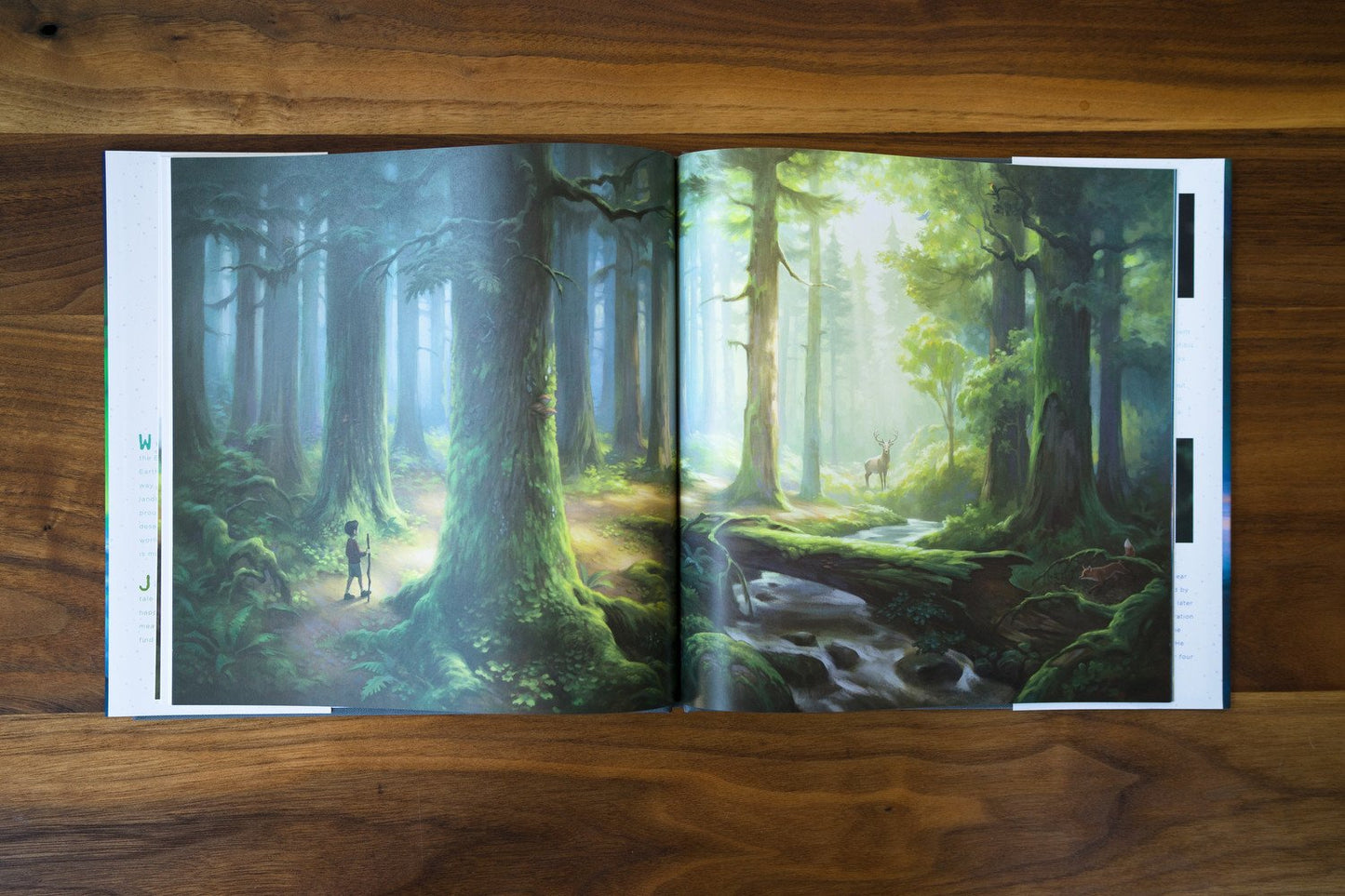 Boy Who Spoke to the Earth by Chris Burkard