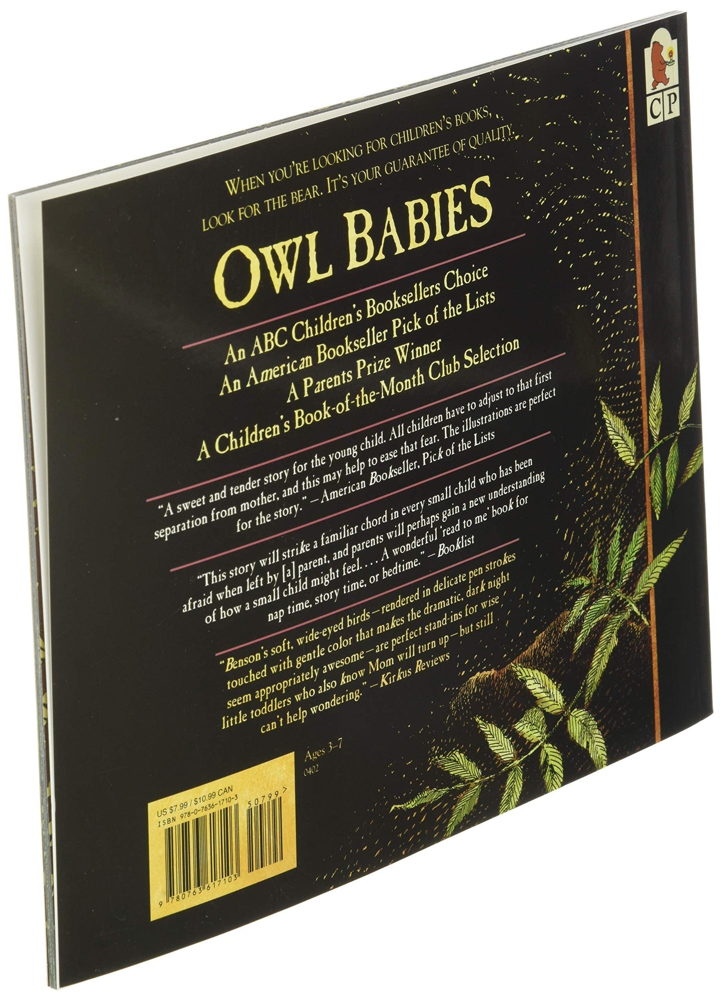 Owl Babies