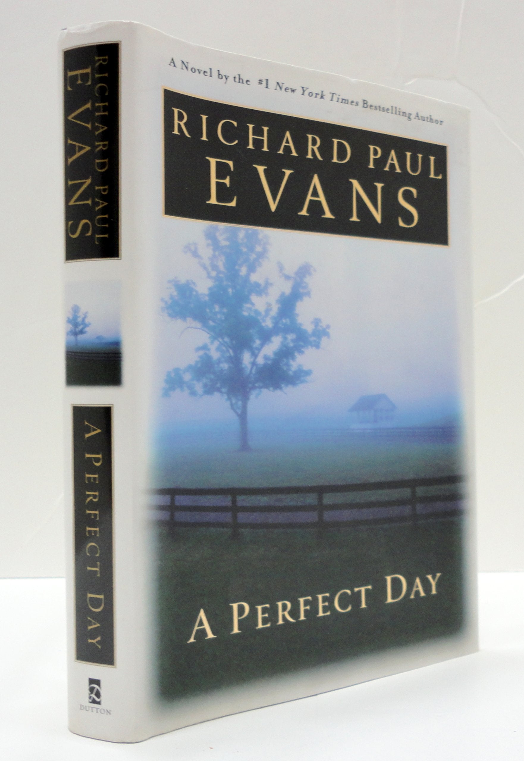A Perfect Day