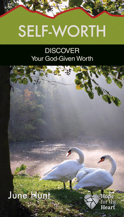 Self-Worth: Discover Your God-Given Worth (Hope for the Heart)