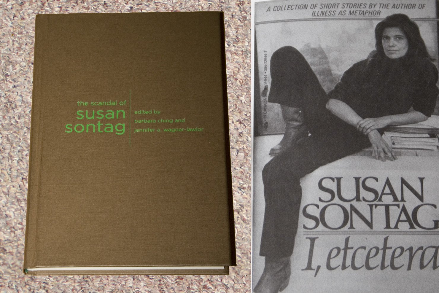 The Scandal of Susan Sontag (Gender and Culture Series)