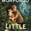 Little Foxes: A spellbinding animal story from War Horse author and former Children's Laureate, Michael Morpurgo.