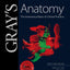 Gray's Anatomy: The Anatomical Basis of Clinical Practice by