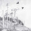 Campfire Stories: Tales from America's National Parks