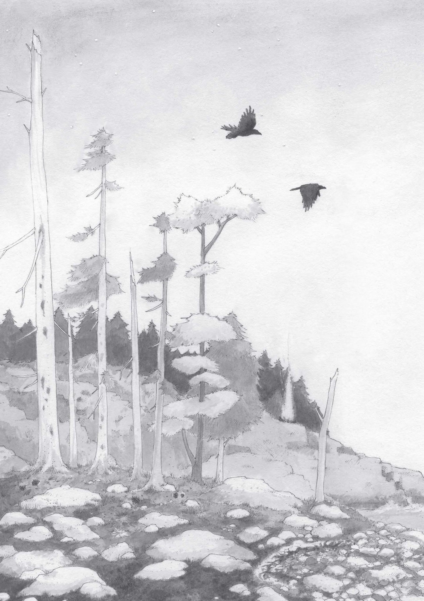 Campfire Stories: Tales from America's National Parks