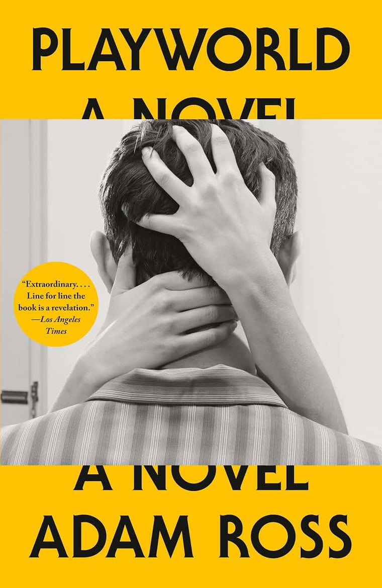 Playworld: A Novel (Vintage Contemporaries)