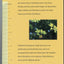 Guide To The Trees Of Utah