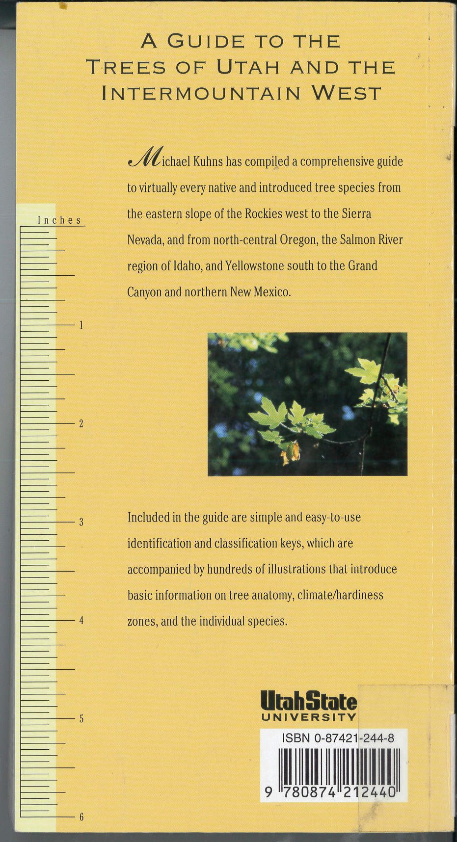 Guide To The Trees Of Utah