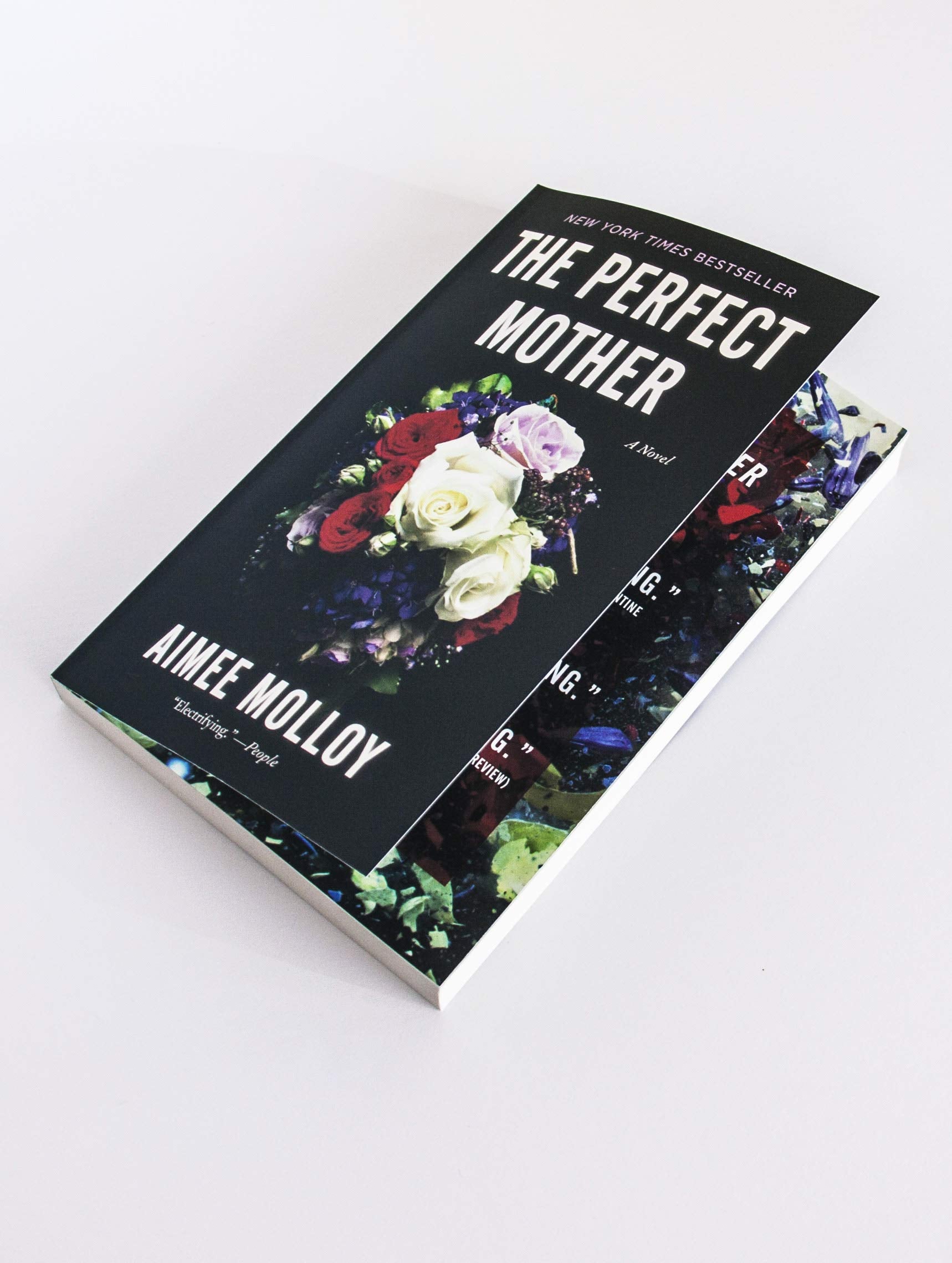 The Perfect Mother: A Novel