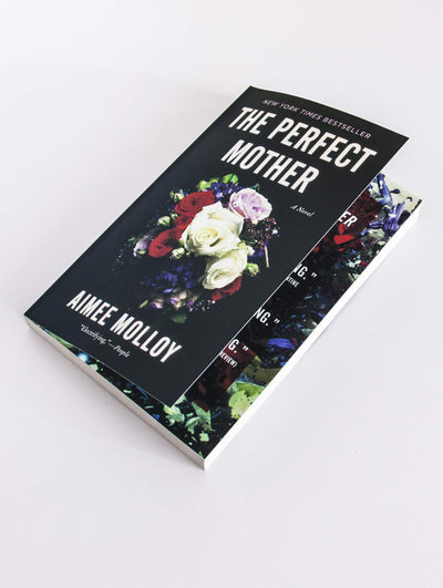 The Perfect Mother: A Novel