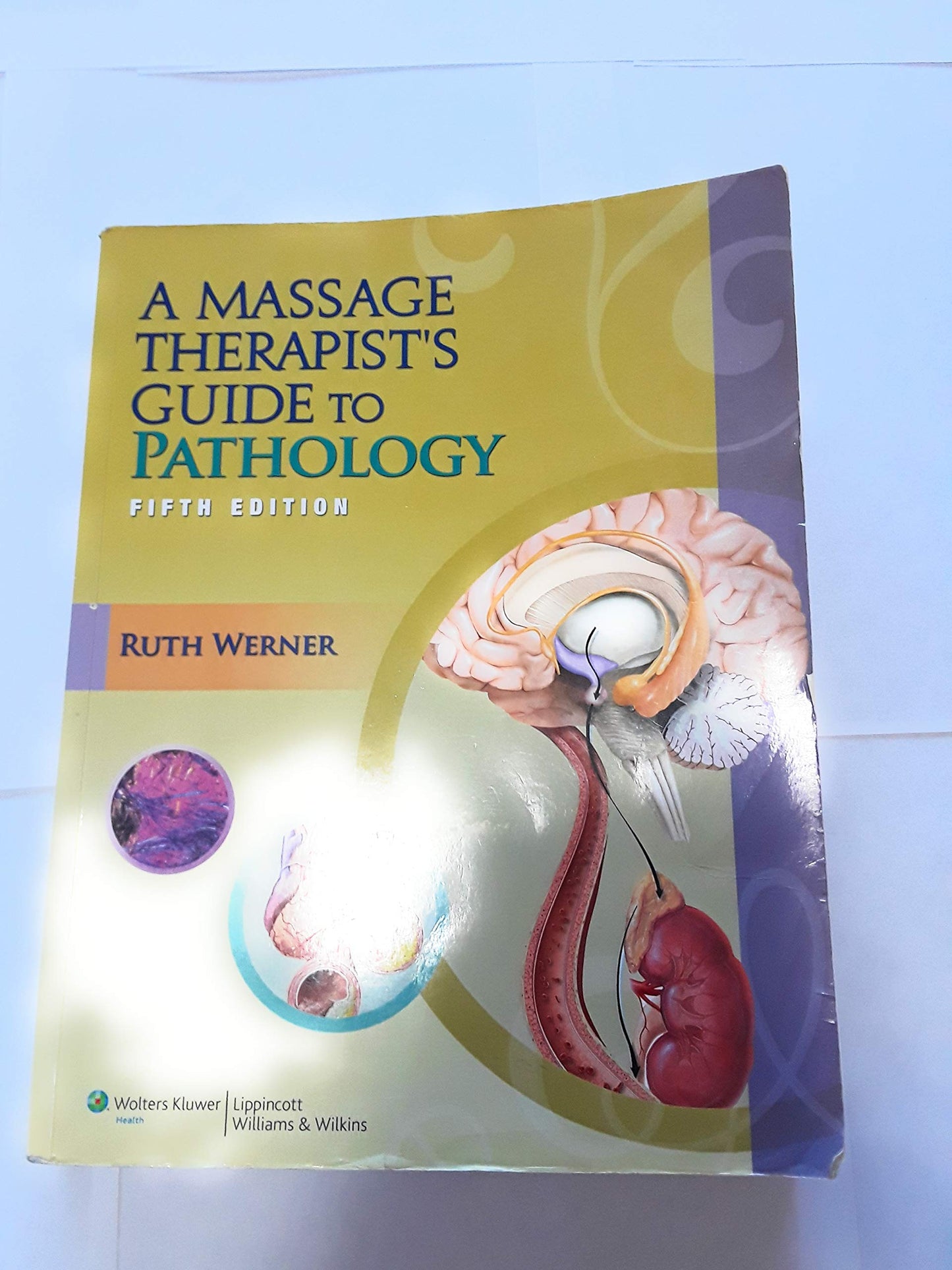A Massage Therapist's Guide to Pathology, 5th Edition by Rut