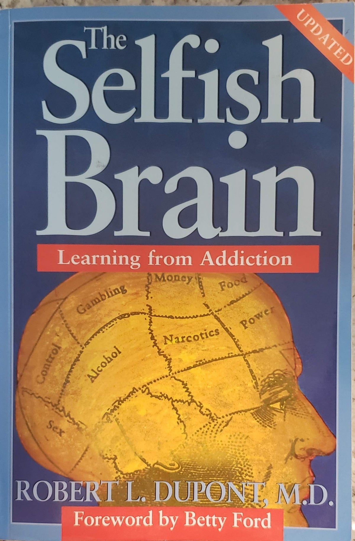 The Selfish Brain: Learning from Addiction
