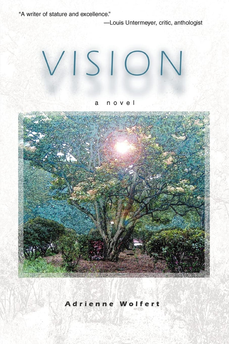 Vision: A Novel