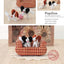Making Pipe Cleaner Pets (Design Originals) Learn How to Twist, Bend, and Shape 23 Cute Dog Breeds - Terriers, Spaniels, Chihuahuas, Labrador Retrievers, Schnauzers, Pugs, Corgis, and More [BOOK ONLY]
