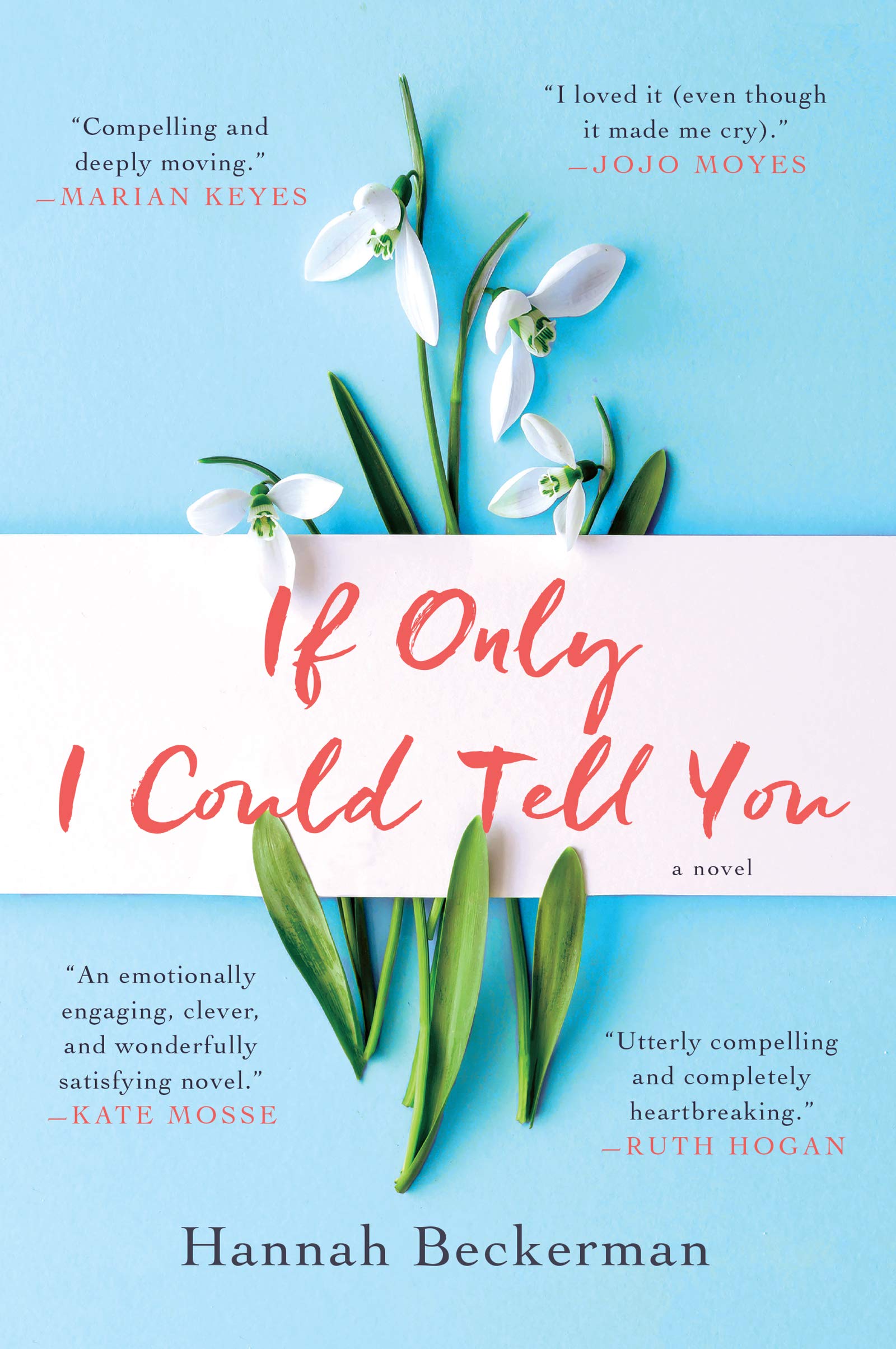 If Only I Could Tell You: A Novel