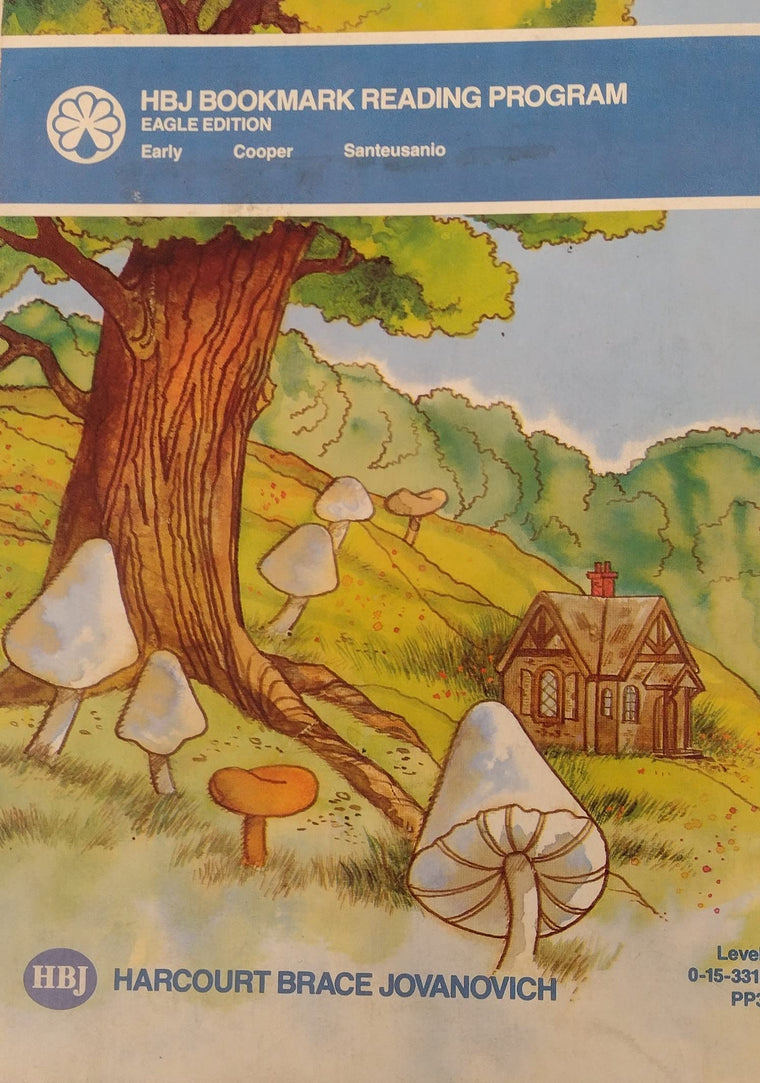 Magic Afternoon (Grade One) Level 3 — back cover