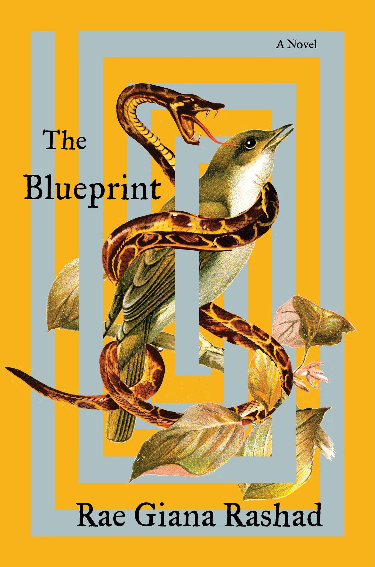 The Blueprint: A Novel