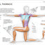 Science of Stretch: Reach Your Flexible Potential by Miakarts Books