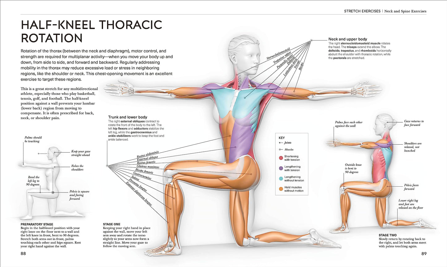Science of Stretch: Reach Your Flexible Potential by Miakarts Books