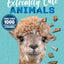 Sticker Extremely Cute Animals (Extreme Stickering)