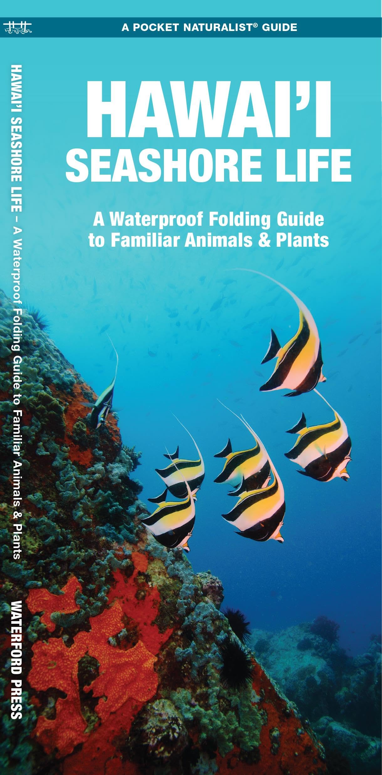 Hawai'i Seashore Life, 2nd Ed: A Folding Pocket Guide to Familiar Animals & Plants (Nature Observation North America)