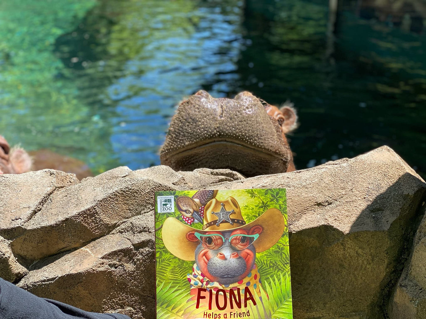 Fiona Helps a Friend (A Fiona the Hippo Book)